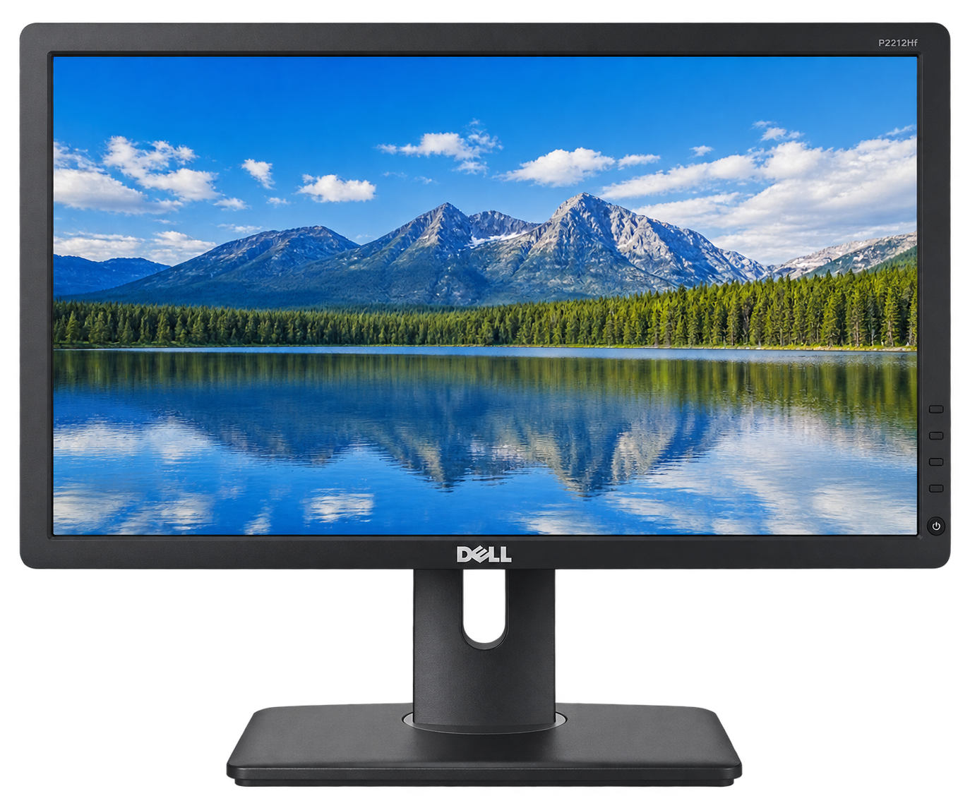 Dell P2212Hf 22" Professional Monitor