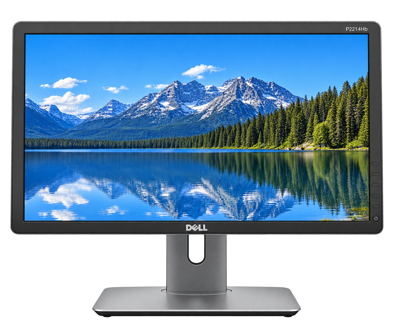 Dell P2214Hb 22" Professional Full HD Monitor